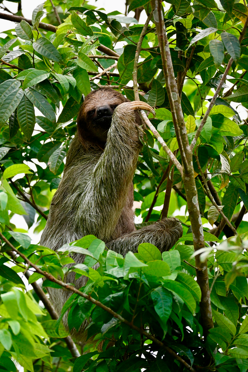About Costa Rica for expats and residents